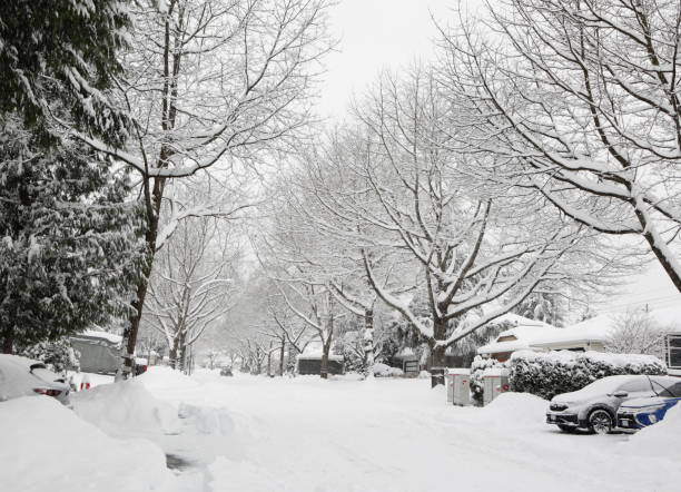 istock Snowing on 95th Avenue, Surrey, Canada 1945305658