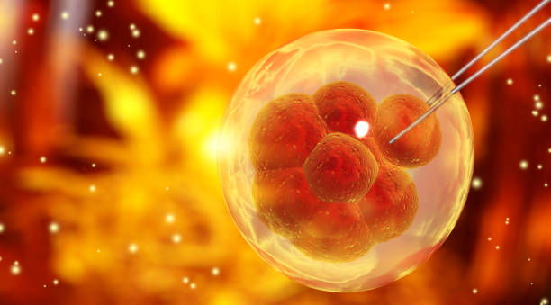 istock Genetic engineering, GMO and gene manipulation concept. Hi Tech technology in field of genetic engineering. Cellular Therapy. Horizontal banner with copy space for text. 3d render 1945341733