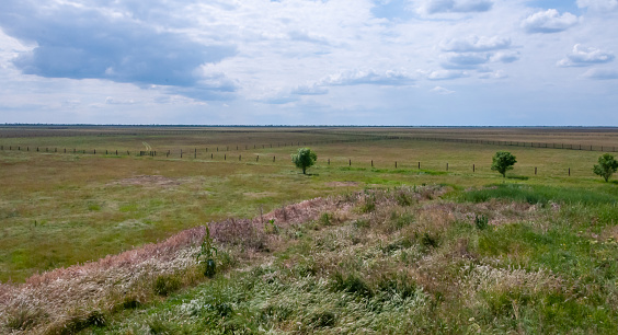 Grassland pastures and wetlands in Inner Mongolia, China.