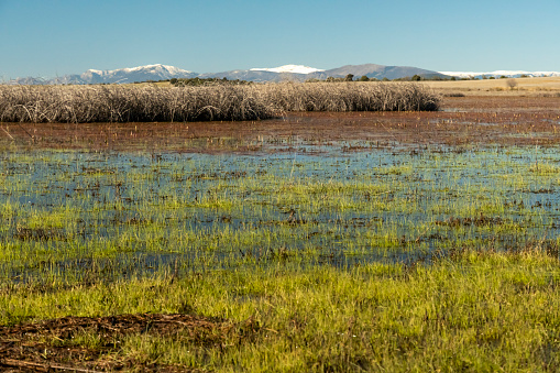 landscape in a lagoon with snowy mountains in the background