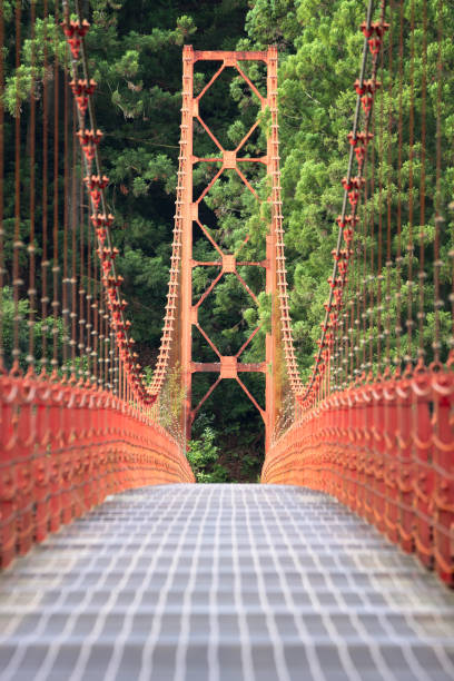 Portrait of female hiker crossing suspension bridge on mountain trail