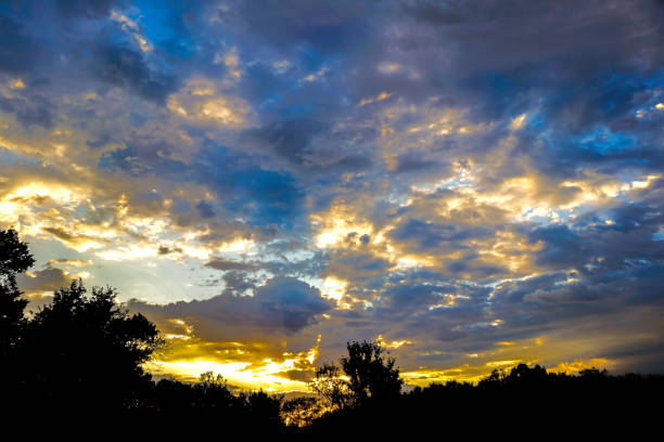 Spectacular sunset with stunning clouds over a captivating dark forest