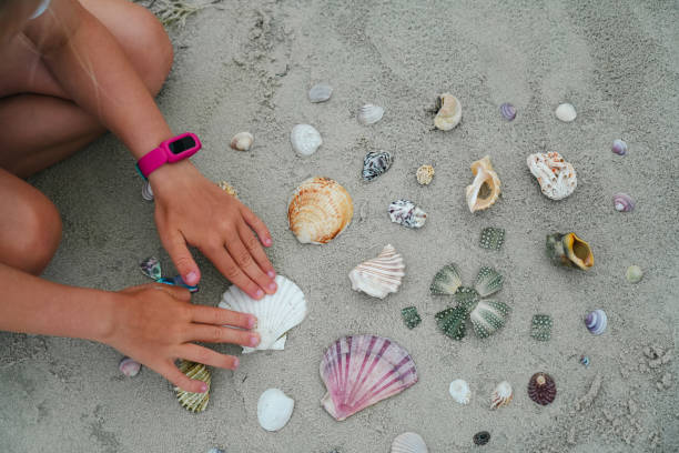 istock Creativity, play, nature and art for kids 1945485312