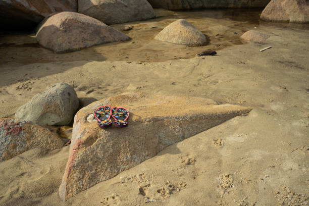 Flip-flops on the rocks at the beach, summer, beach, and sun concept.