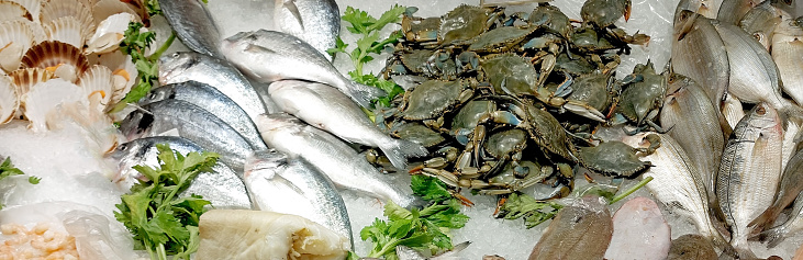 lots of fish and even fresh blue crabs on the counter full of ice for sale in the fishmongers