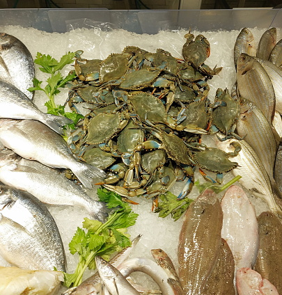 lots of very fresh blue crabs on the counter full of ice for sale in fish shops and more fish