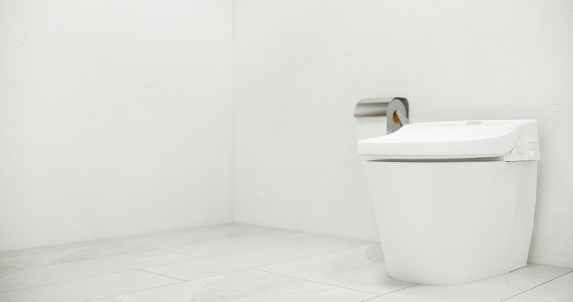 White Toilet and decoartion on modern zen toilet room japan style