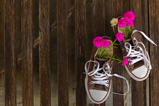A pair of black sneakers, old and faded, with flowers coming out of them, on a surface of wooden pegs.