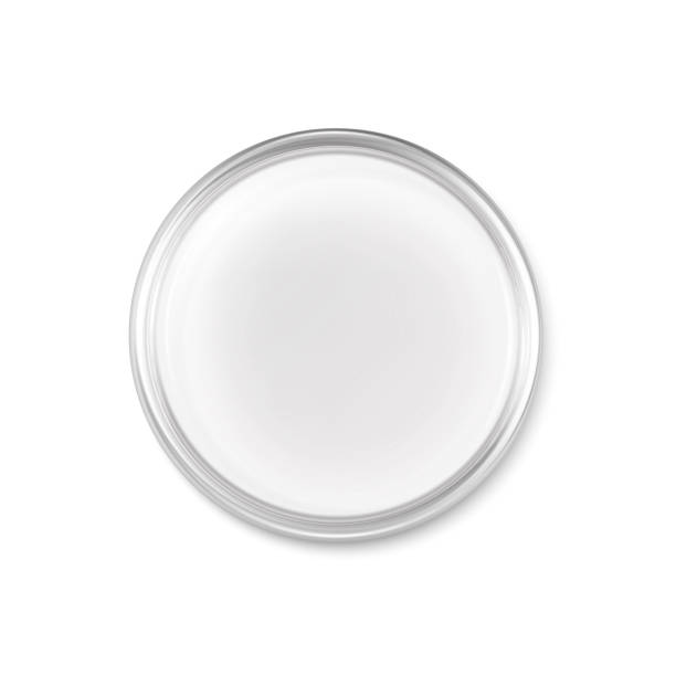 istock realistic vector icon. Petri dish. Laboratory and sience equipment. Test and research lab. 1945636594