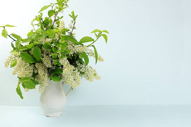 Abstract floral composition, Home interior with beautiful spring branches of lilac and bird cherry in a vase, banner, still life with space for text, floral holiday greeting card, selective focus