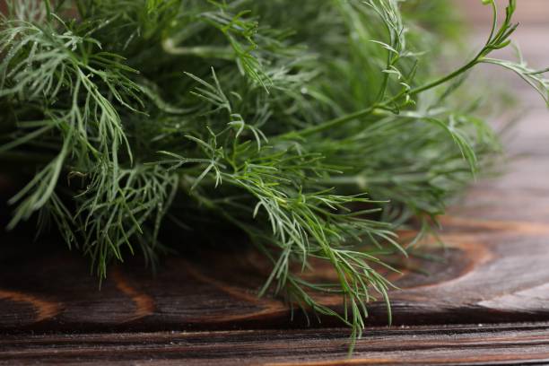 istock Fresh green dill on wooden table, closeup 1945668939