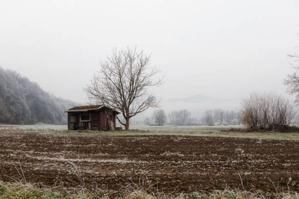 Forsaken cottage under the tree. An abandoned hut on the field. Autumn nature landscape of frosty November day with hoarfrost on grass and trees
