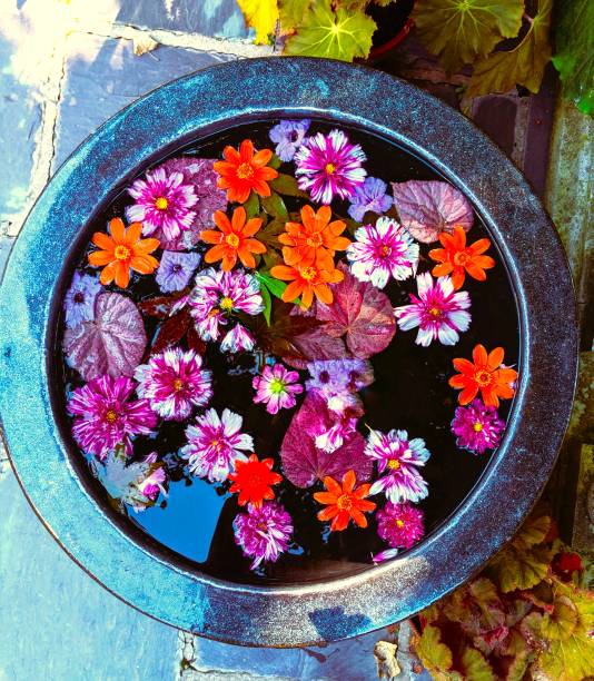 Display of colorful floating flowers.