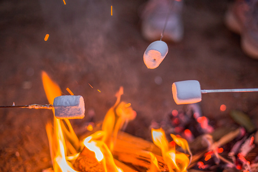 Marshmallows roasting over an open fire