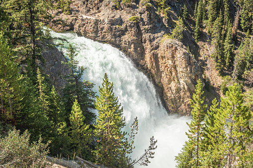 View of the Upper Falls of the Yellowstone River from the South Rim Trail in Yellowstone National PArk Wyoming, USA