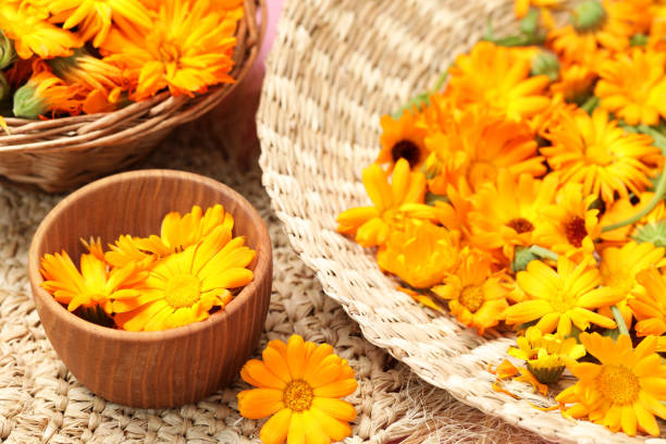 istock Many beautiful fresh calendula flowers on table 1945722864