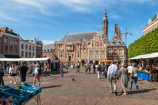 The Hague tower and old  houses at  beautiful pond Hofvijver, The Hague (Den Haag), The Netherlands.