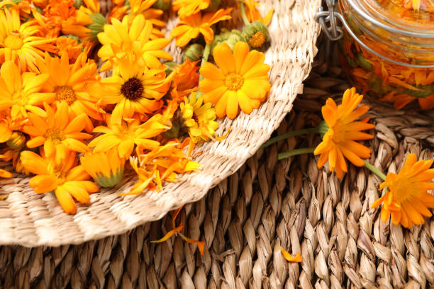 istock Beautiful fresh calendula flowers on wooden table, above view 1945723400