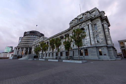 Parliment buildings in Wellington, New Zealand
