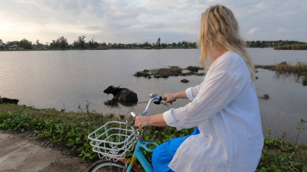 istock Mature woman rides bicycle through rice paddies 1945733003