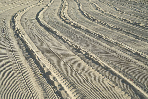 tire tracks on the sand beach
