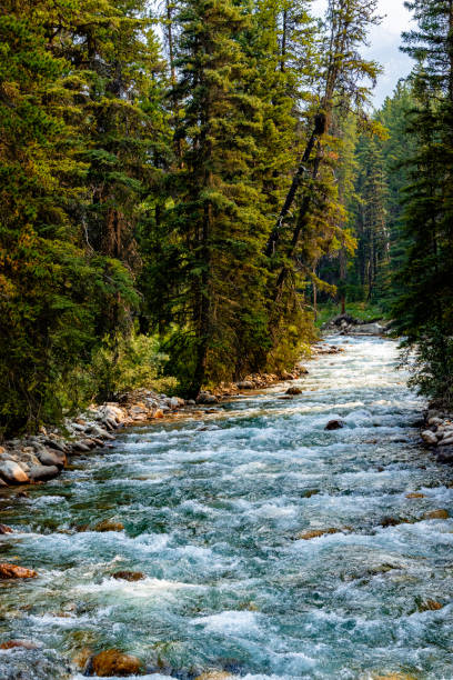 istock Baker Creek Banff National Park Alberta Canada 1945758595