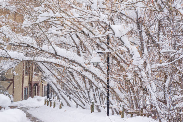 Snow and frost cover a red house. A recent snowstorm has encased everything in a thick layer of snow dunes. This is common in Utah and Colorado, two popular winter vacation destinations in the US