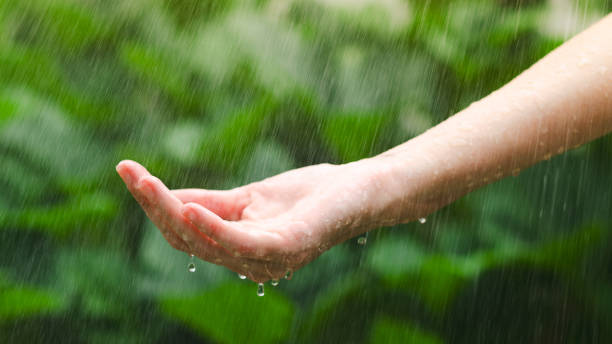 istock Female hand in the rain 1945793198