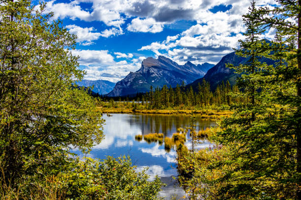 Rundle Mountain from Vermillion Lakes Banff National Parks Alberta canada