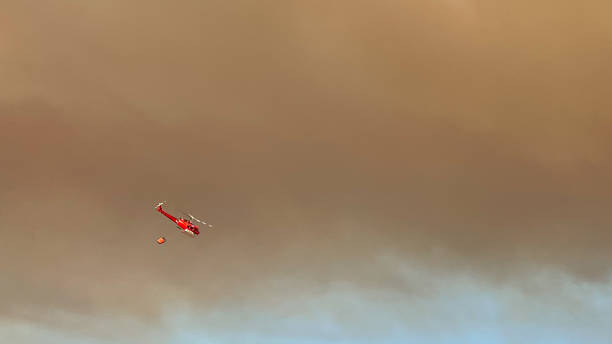 istock Natural Tragedy: Landscape Engulfed in a Furious Forest Fire 1945842485