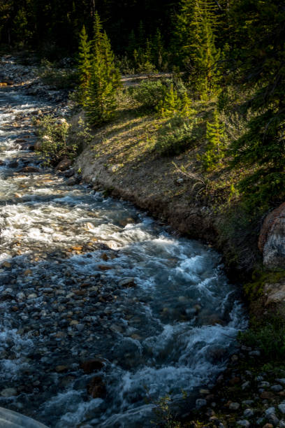 istock Water flows over rocks from the mountains Mosquito Creek Banff National Park Alberta Canada 1945851841