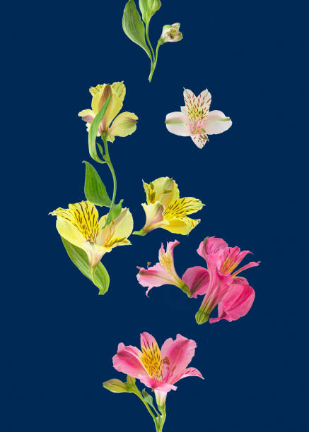 istock Creative concept of colorful floral lily pattern. Abstract floral background. 1945867212