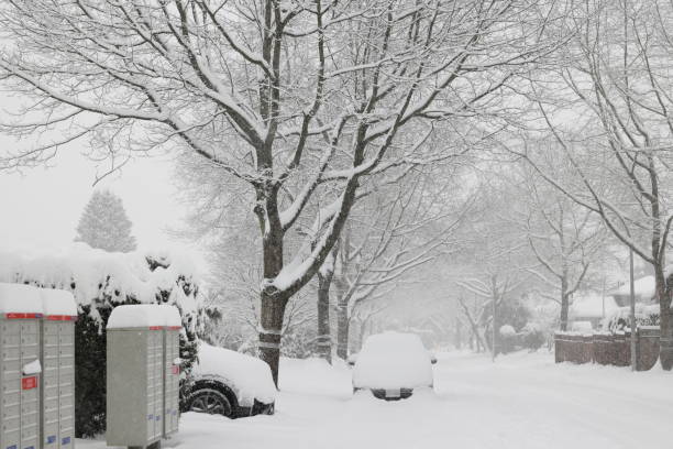 Surrey, Canada - January 17, 2024: A snowstorm from an Arctic outflow hits the streets of Metro Vancouver in January. A Canada Post community mailbox and cars stand in the snow on 95th Avenue in the Fleetwood-Tynehead neighbourhood of Surrey, British Columbia.