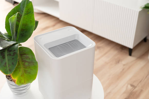 istock Modern air humidifier in living room 1945878862