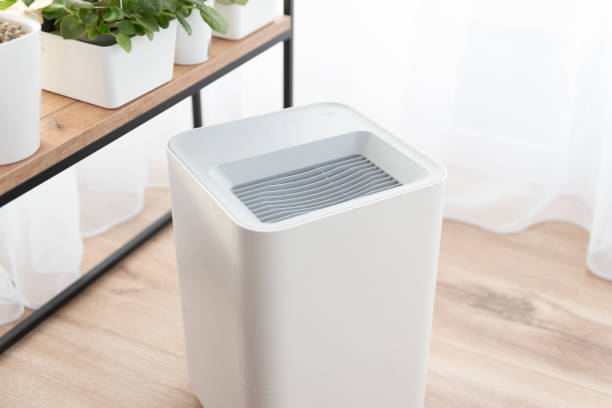 istock Modern air humidifier in living room 1945878864