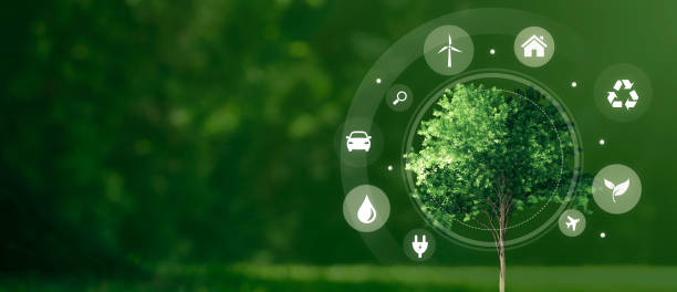 istock Eco symbols around green tree. Ecology concept 1945879905