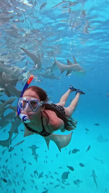 Teen girl snorkelling among sharks in clear blue sea