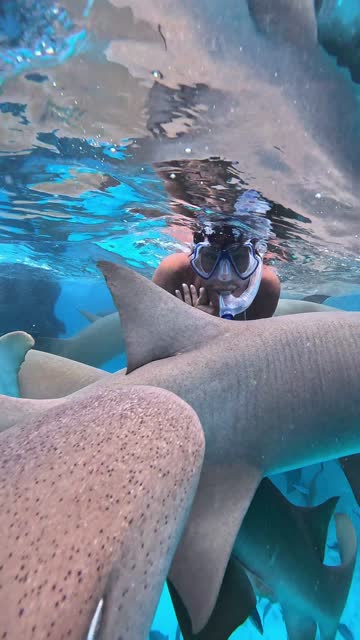 Adult woman snorkelling among sharks