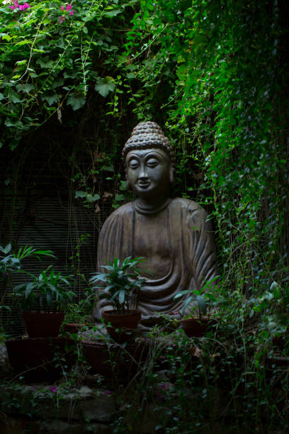 Buddha statue in a lush green foliage stock photo