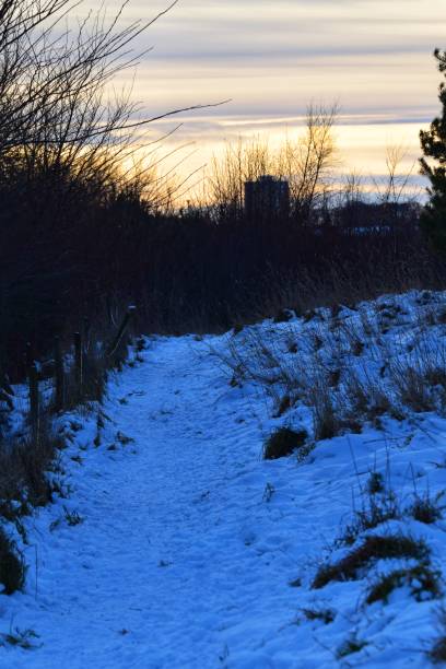 istock St Fittick’s Park In The Snow 1945924366