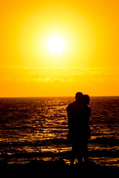 Photo Picture of The Sun Setting in the Sea