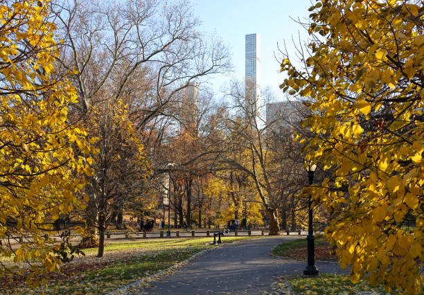 istock Central Park Autumn Afternoon 1946027309