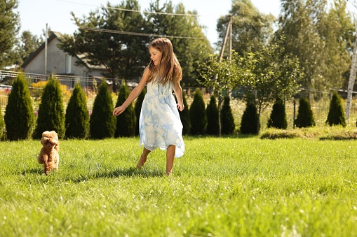 Beautiful girl walking with cute Maltipoo dog on green lawn in park