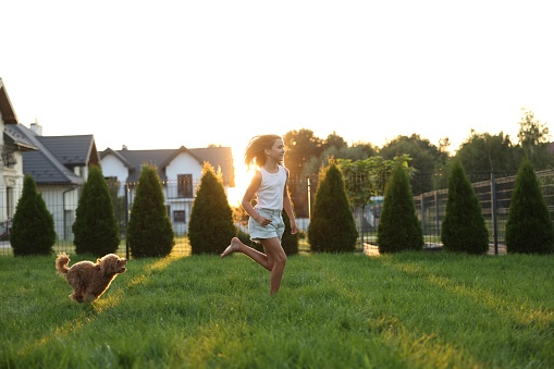 Beautiful girl running with cute Maltipoo dog on green lawn at sunset in backyard