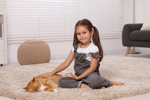 Smiling little girl petting cute ginger cat on carpet at home