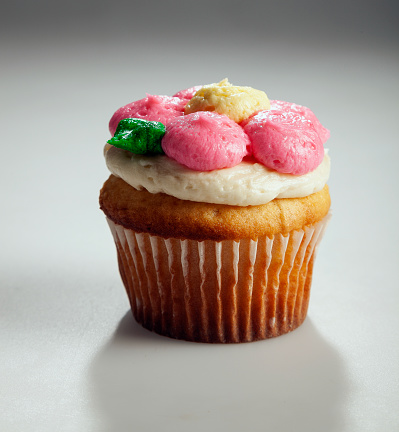 Gourmet vanilla cupcake with buttercream frosting and colorful circles of icing on the top