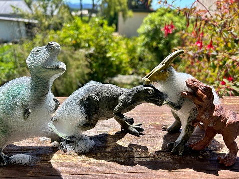 A child's dinosaur collection sits drying outside with soap bubbles after gathering dust.