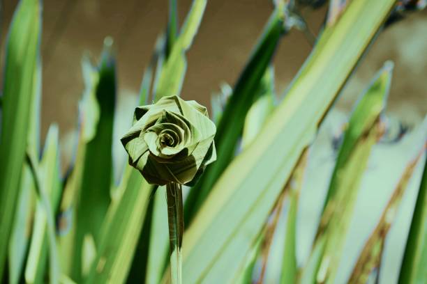 Putiputi Flower woven with Harakeke in Toned Style Background