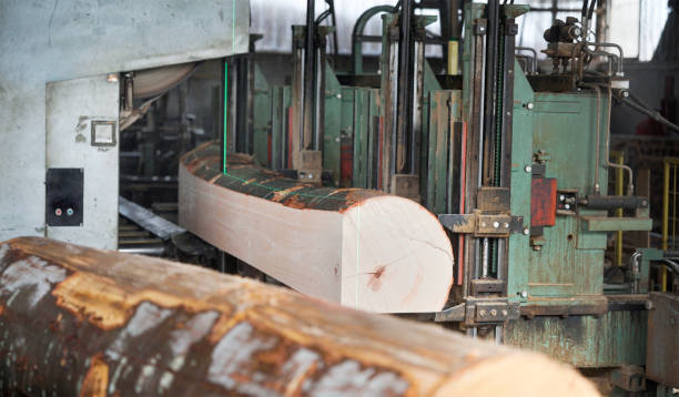 istock Circular saw machine at wood beam cross cutting 1946081204
