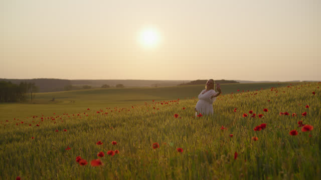 SLOW MOTION CRANE Shot of Loving Pregnant Woman Taking Selfie through Smart Phone on Poppy Wheat Field during Sunny Day